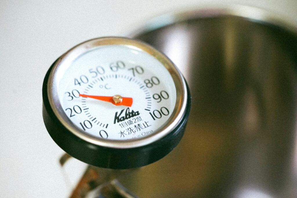 bedste-Stegetermometer